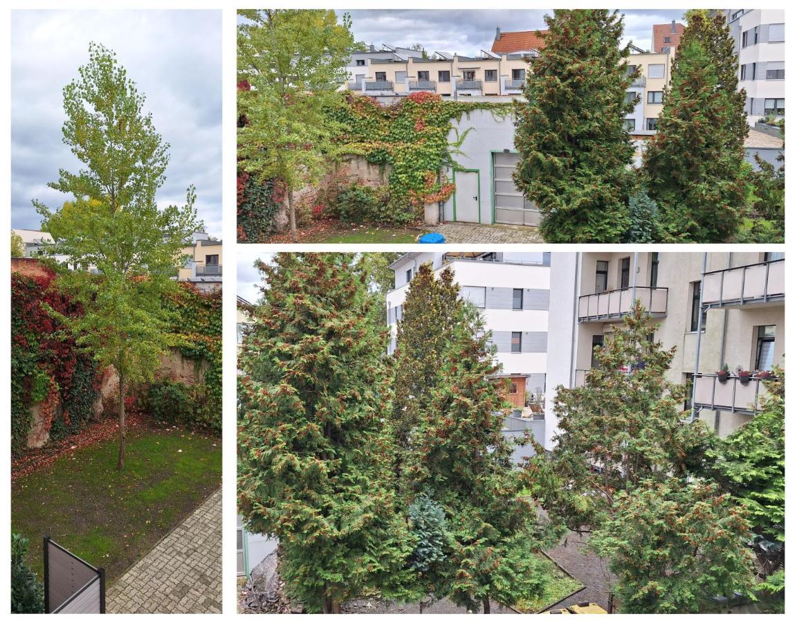 Modernes Einraumzimmer Mit Eigenem Bad, Balkonnutzung, Zentrumsnah - In 10 Minuten Mit Dem Rad Oder Dem Oepnv Zur Arena Und In Leipzigs Innenstadt Zewnętrze zdjęcie